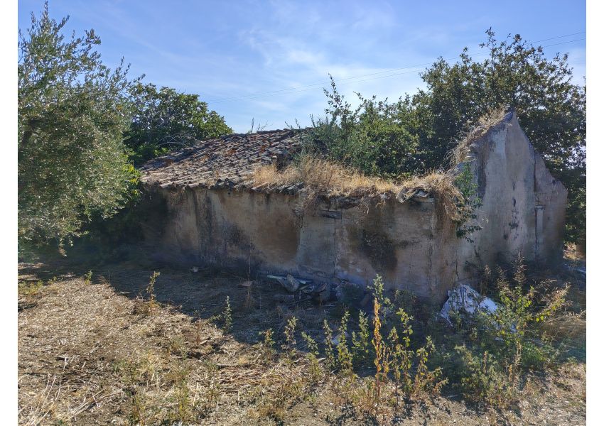 Terreno agricolo in vendita a Vasto - C.DE SPARSE