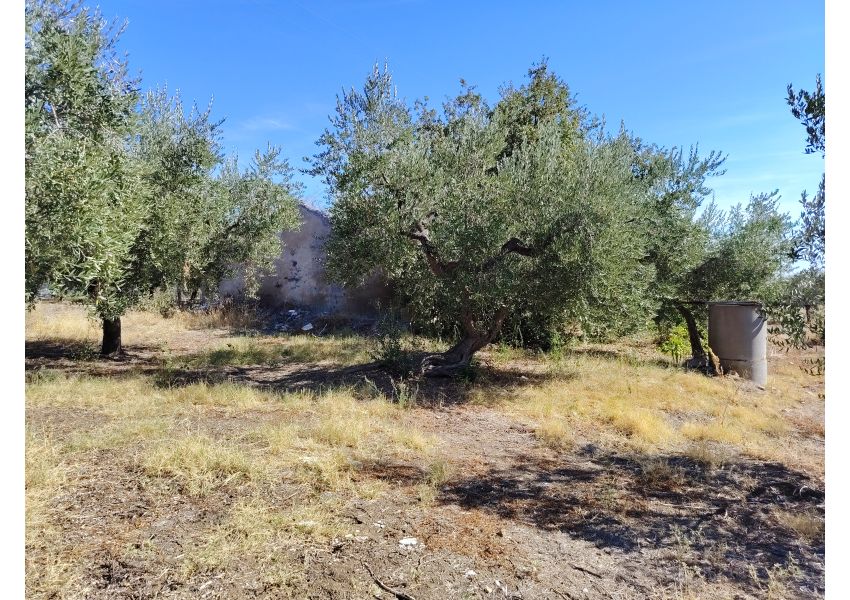 Terreno agricolo in vendita a Vasto - C.DE SPARSE