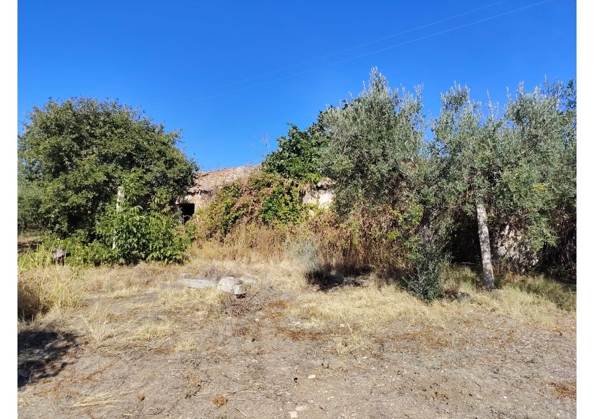 Terreno agricolo in vendita a Vasto - C.DE SPARSE