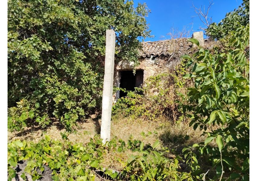 Terreno agricolo in vendita a Vasto - C.DE SPARSE