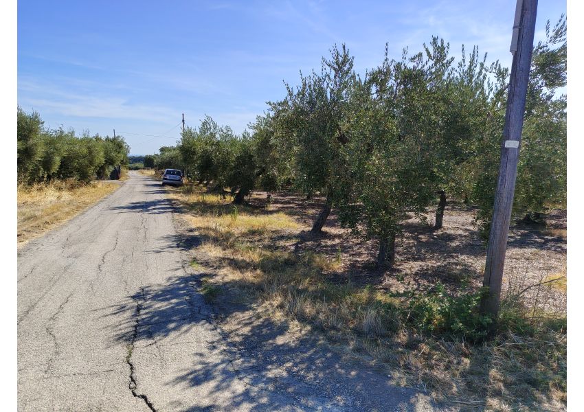 Terreno agricolo in vendita a Vasto - C.DE SPARSE