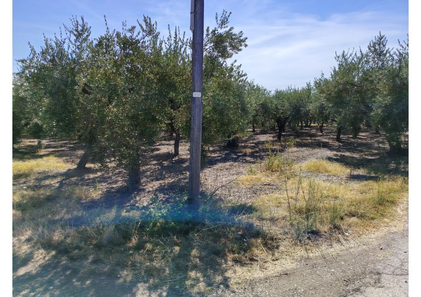 Terreno agricolo in vendita a Vasto - C.DE SPARSE